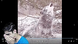 try not to lought | چالش سعی ک...