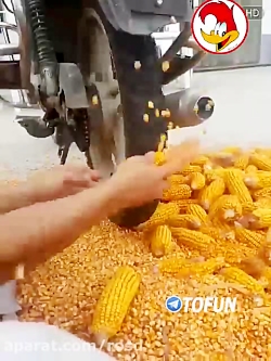 ابتکار جالب دانه کردن ذرت با موتور سیکلت!