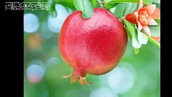 کلیپ کوتاه عاشقانه درباره خدا