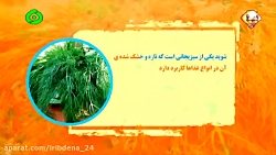 خواص میوه ها وسبزیجات -شوید