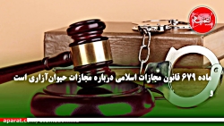 مصادیق حیوان آزاری چیست؟