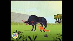 قصه های كودكانه  گاو