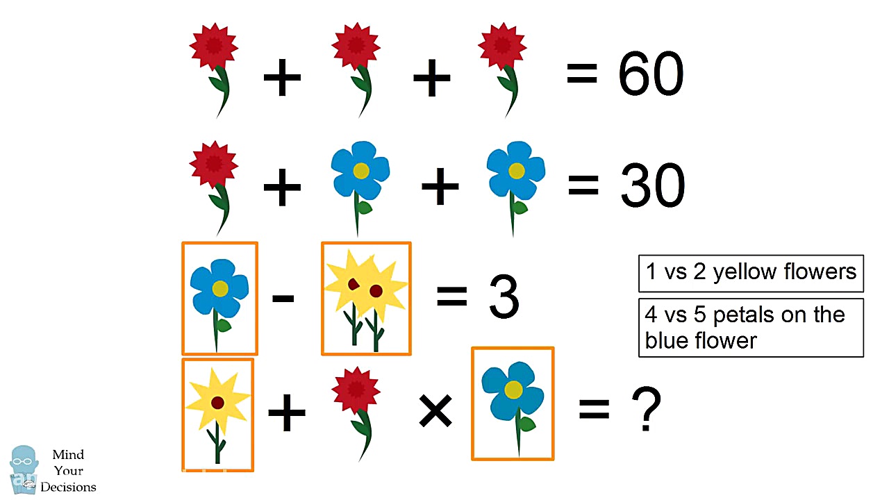 Homework In China Stumps Adults - The Flower Algebra Problem زمان207ثانیه