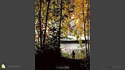 آموزش قانون یک سوم در عکاسی حر...