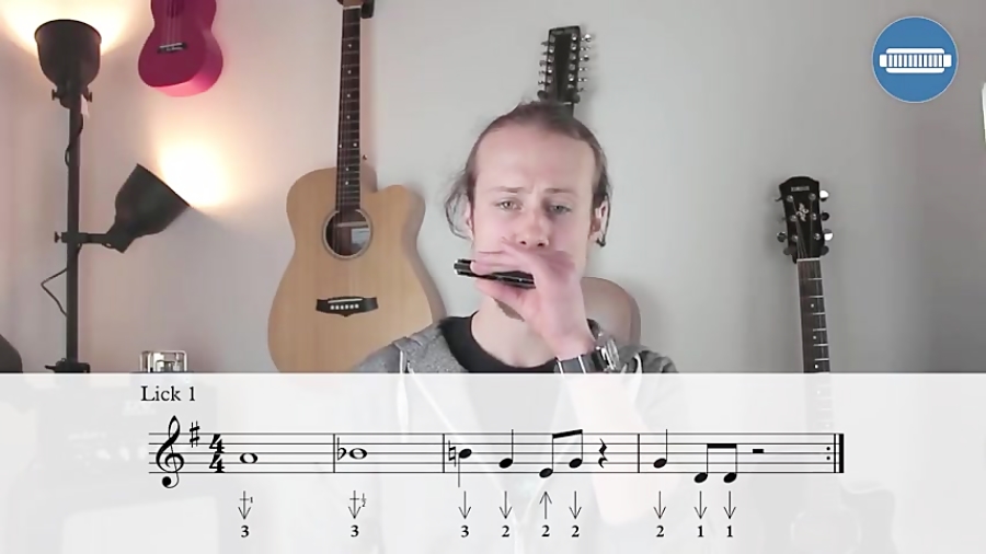 3 Awesome VIVI Blues Harmonica Licks Free harp tab