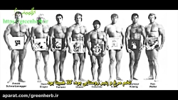 بهترین رژیم غذایی برای بدنسازی