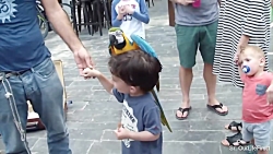 کلیپ های خنده دار اخر خنده از...