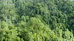 سریال سه در چهار قسمت 3