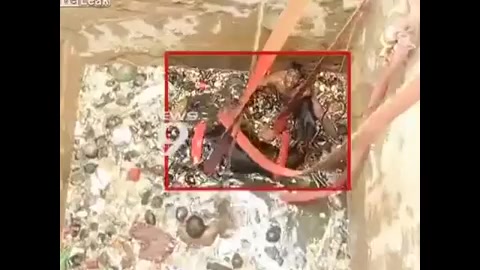 درآوردن گاو از گودال لیفت گردنایمپلنت دندان