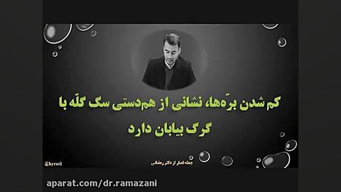 جملات قصار دکتر حسینعلی رمضانی 4 دکتر حسین علی رمضانی