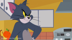 کارتون دیدنی موش و گربه