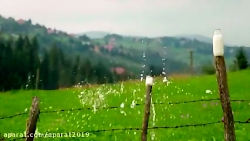 سریال ستاره شمالی عشق اول قسمت...