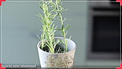 قسمت سوم  راههای میان بر برای...