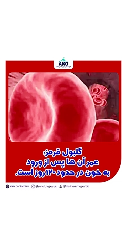 اموزشی