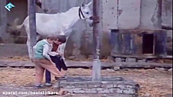 فیلم سینمایی خانه دوست کجاست