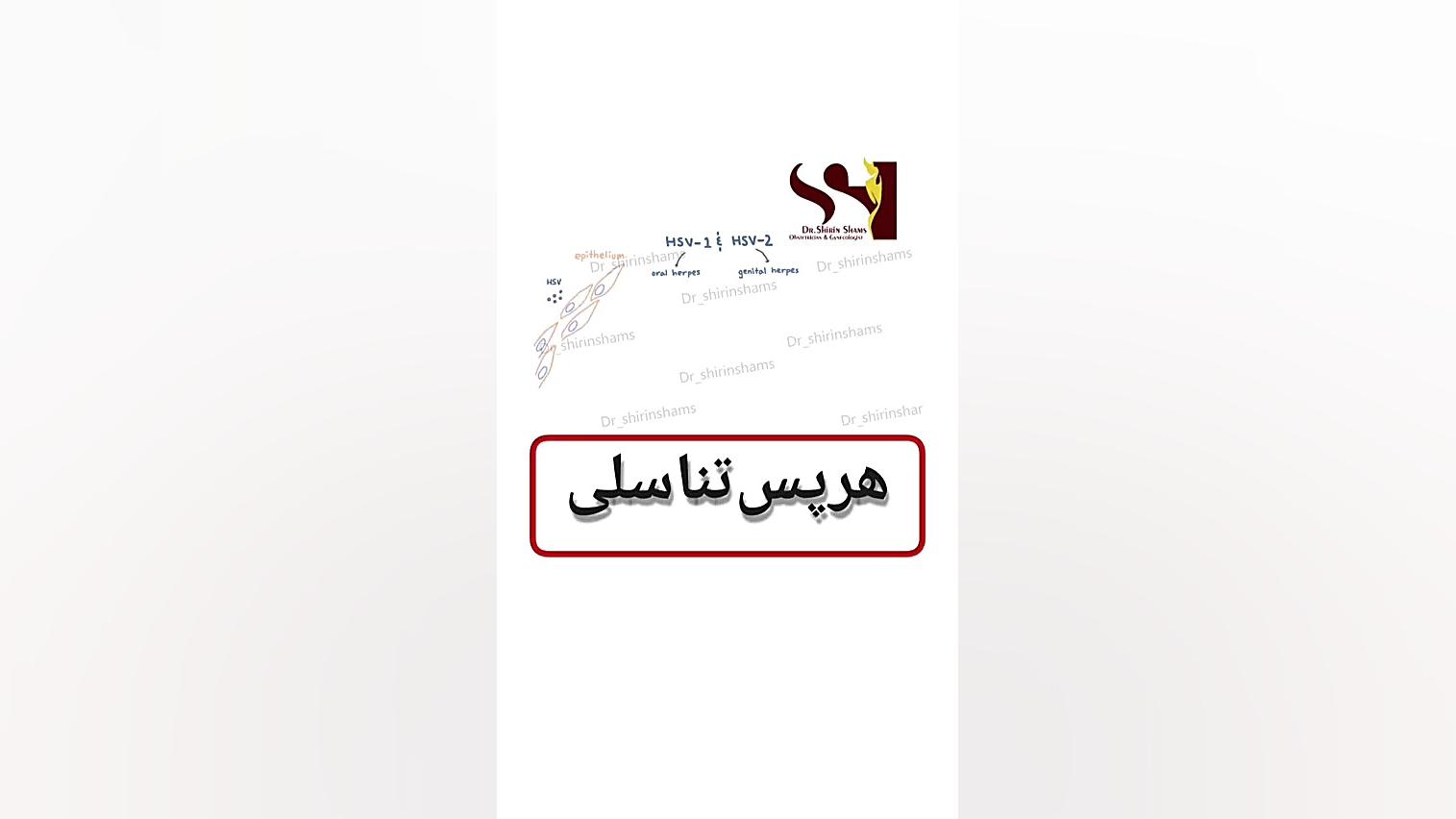 هرپس تناسلی از نزدیک دکتر شیرین شمس جراح و متخصص زنان و زایمان