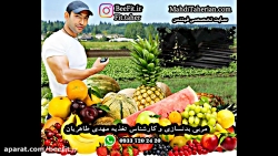 مشاوره تغذیه زیر نظر کارشناس ت...