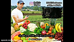 تغذیه سالم زیر نظر کارشناس تغذ...