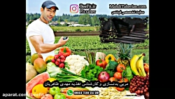 رژیم غذایی ورزشی زیر نظر  کارش...