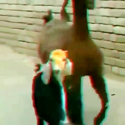 نماوا و فیلیمو بعد از فیلترشدن...