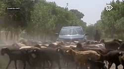 Serial Navare Zard 8  سریال نو...