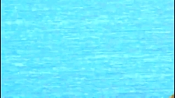 شکار کبوتر توسط شاهین