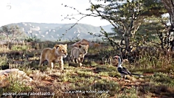 فیلم سینمایی (شیر شاه) 2019 زی...