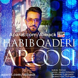 آهنگ افغانی | حبیب غدیری - عرو...