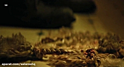 فیلم درام علمی تخیلی Fast Colo...