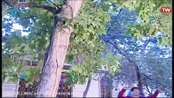 ایروبیک آمادگی جسمانی ورزش صبح...