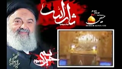 سید احمد نجفی - کربلا و دیوانگ...