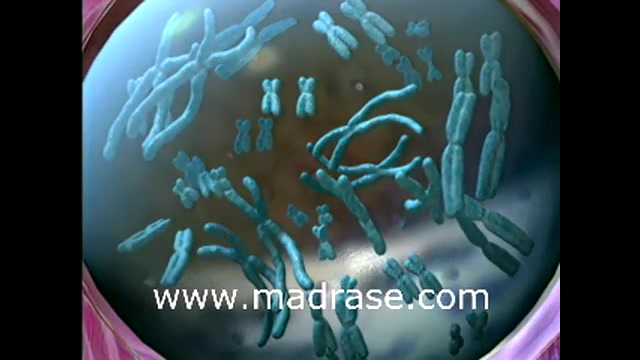 ژنوم لیزر کوانتومی جراحی چشم