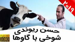 حسن ریوندی - شاخ بازی برای گاو...