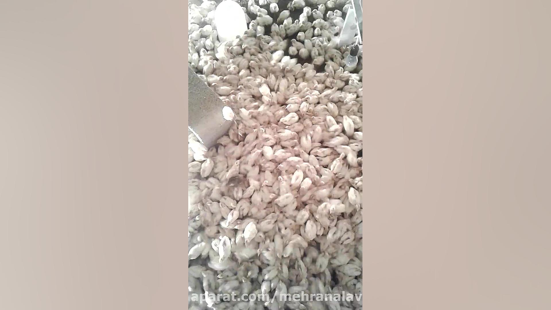 کتاب پرورش بلدرچین و مشاوره رایگان علیرضا طلیسچی