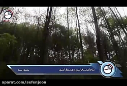 گوشه ای دیگر از خسارات به محیط...