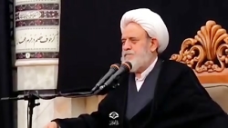 شیخ حسین انصاریان : بدحجابی و...