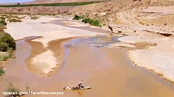 داستان به گل نشستن شناگر طلایی