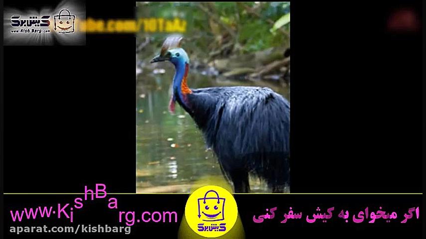 پوستر بزرگ