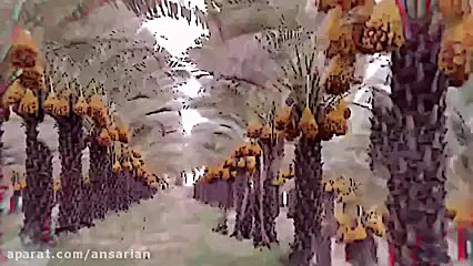استدلال حضرت فاطمه در خطبه فدکیه دکتر مهدی صادقی