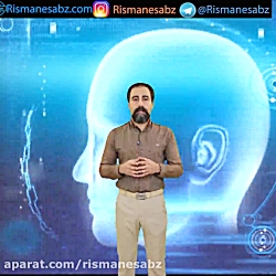 باور غلط در مورد کارکرد مغز