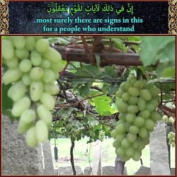140&ndash; چهارده گام تا خداشناسی، مجموعه فیلم دیدنی / God in the Quran