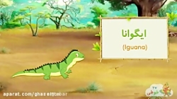 آموزش حیوانات به کودکان