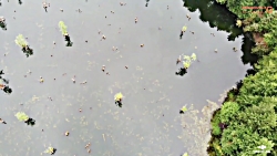 اینجا وحشت آور ترین دریاچه ایر...