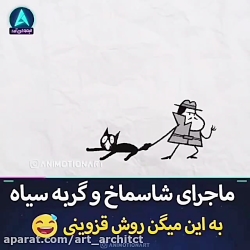 شاسساخ و گربه سیاه چی میگن؟