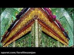 امامزاده های ایران 6