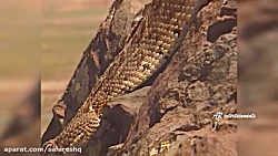 مستند فوق العاده ترسناک جنگ ها...