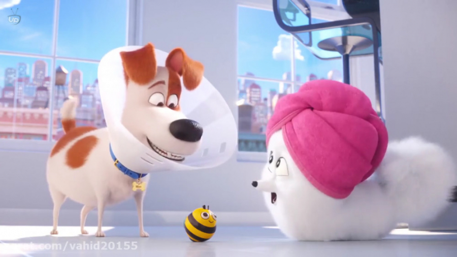 انیمیشن زندگی پنهان حیوانات 2 - The Secret Life of Pets 2019 دوبله فارسی زمان5160ثانیه