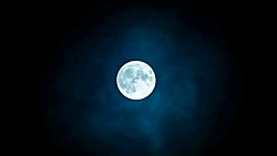 کلیپ کوتاه عاشقانه ...