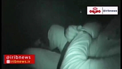 جدیدترین اعترافات روح الله زم...