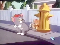 کارتون تام و جری (موش و گربه)...